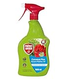 PROTECT GARDEN Curamat Plus Rosen-Pilzfrei Spray, anwendungsfertiges Spray...