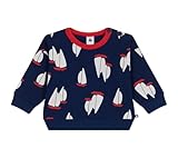 Petit Bateau Baby Jungen A0COI Sweatshirt, Blau/Mehrfarbig, 18 Monate