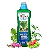 Blusana Hydroponik & Hydrokultur Dünger XL Flasche 1l NPK 7-3-6...
