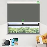 HOMEDEMO Elektrische Rollos Verdunkelungsrollo mit Motor & Fernbedienung,...