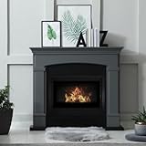 Kamin-Kassette ARKE 80 12 kW Ø 200 mit Türfeder