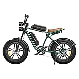 ENGWE E Bike Herren Elektrofahrräder-Ebike mit einem Akku/ 2 Akkus, E-Bike...