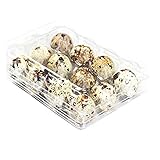Quail Egg Kartons, 50 Stück, Wachteleier, wiederverwendbar, ecyclebarer...
