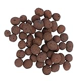 NUOBESTY Atmungsaktives Tongranulat Braun Pflanzsubstrat für Sukkulenten...