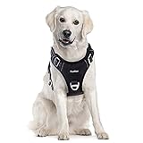Funfox Hundegeschirr Mittelgroße Hunde, Anti Zug Brustgeschirr...