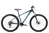 Axess Sandee Mountainbike | MTB-Hardtail | 14-Gang Schaltung | Mechanische...