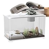 Kustimantu Goldfischglas | großes Aquarium für Goldfische - Panoramabox...