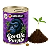 Cannabis Anbau Starter-Kit/Set für Anfänger (GSC)