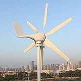 800W Windturbine 12V Windkraftanlage geräuscharm Windgenerator mit MPPT...