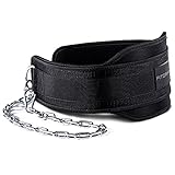 Fitgriff® Dip Gürtel mit Kette + 2 Karabiner, Dip Belt für Bodybuilding,...