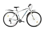 Multibrand Distribution Probike PRO 29 Zoll Fahrrad Mountainbike 21 Gang,...