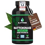 Nattokinase 2000 FU - JAHRESVORRAT - 365 Nattokinase Kapseln je 100mg...