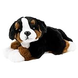 Teddys Rothenburg Kuscheltier Berner Sennenhund 25 cm schwarz/braun/weiß...