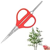 Traubenschere - Pflanzenschere | Trimmschere Für | 2-in-1-Traubenschere...