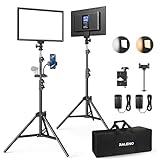 RALENO LED Video Kamera Licht, 2 Pack 384 LED Sanftes Videoleuchte mit 79'...