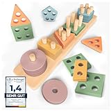 Sweety Fox Montessori Spielzeug ab 1 Jahr - Holz Sortier & Stapelspielzeug,...