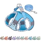 AIITLE No Pull Hundegeschirr und Leine Set, Schritt in einstellbaren...