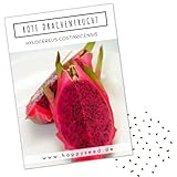 Rote Drachenfrucht Samen (Hylocereus costaricensis) - Seltenes Pitaya...