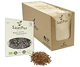 SaatPur Bio Keimsprossen - Radies Red Rubin - Keimsaat Sprossen Microgreens...