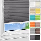 Magiea Plissee ohne Bohren Klemmfix 50x100cm(BxH) Anthrazit...