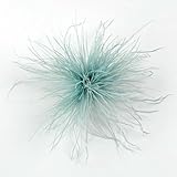 Straußenfeder-Brosche, 8–10 cm, für Hochzeiten, Partys, Bankette,...