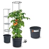 rgvertrieb Blumentopf Tomatentopf Topf für Tomatenpflanzen 28L...