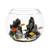 Transparenter Fischglas – Rundes Aquarium | Unzerbrechlicher...