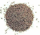 1 kg Senfkörner ganz Saat braun schwarz ohne Zusätze beste Qualität von...