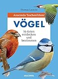 Anaconda Taschenführer Vögel. 70 Arten bestimmen und entdecken: Der...