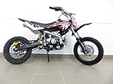 RV-Parts KXD Dirt Bike 125ccm 14/12 Zoll Cross Vollcross Pocketbike Pit...