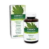 Herzgespann (Leonurus cardiaca) Kraut mit Blüten Naturalma - 150 g - 300...