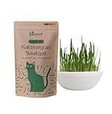 Premium Katzengras Samen 200 Gramm ausreichend für ca. 80 Töpfchen...