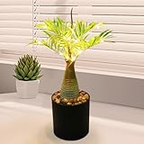 LED Baum Lichter Dekorationen Tischlampe - USB Bonsai Baum Licht,...