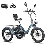Fafrees F20 Mate Elektrisches Dreirad, Upgrade 2025 E Bike 3 Rad 48V...