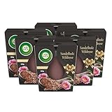 Air Wick Wohlfühl-Duftkerze im Glas – Duft: Sandelholz & Wildrose – Je...