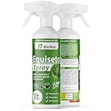 Schachtelhalmspray 1 l | gebrauchsfertig | vorbeugender natürlicher Schutz...