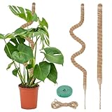 VFANDV Pflanzenstütze, 120cm Biegsamer Kokos Pflanzstab mit Schnur und...