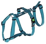 Kerbl Panikgeschirr Miami (Farbe Petrol, Halsumfang 30 - 41 cm, Brustumfang...