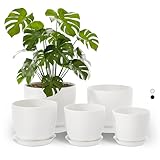 Bamworld Blumentöpfe 5 Set 17.8cm/16cm/14cm/12.7cm/11.3cm Blumentopf Weis...