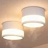 ZIZZLER IP44 Wasserdichte Deckenleuchte Aufputz Weiß für Bad Küchen, 2er...