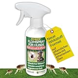 GREEN GUARDIA Flöhe Abwehrspray Power-Konzentrat 500 ml – Pflanzlicher...