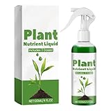 Renopfect Flüssiger Grasfarbe restaurer, grünes Grasspray für Rasen |...