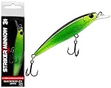 Wild Devil Baits Striker Minnow Wobbler Hardbait Kunstköder Raubfisch...
