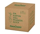 Floragard Bio Hochbeet-Erde in der Box 60 Liter