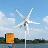 Windturbinengenerator Kit 12V 24V 48V Mit 5 Blättern, Windkraftgenerator...