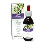 Olive (Olea europaea) Blätter Alkoholfreier Urtinktur Naturalma -...