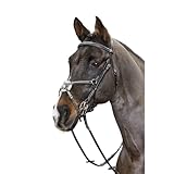 John Whitaker Whitaker Valenica Vorderzeug aus Leder mit 5 Punkten,...