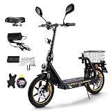 TWOFISH 14 Zoll E Scooter mit Straßenzulassung(EEC Zertifiziert), 500W...