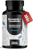 Glucosamin Chondroitin Hochdosiert - 365 Kapseln - mit pflanzlichem Vitamin...