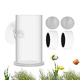 Futterstation für Fischbecken - transparente Garnelenschale, Futterspender...